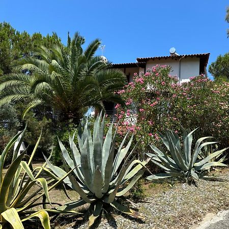 Villa Rena Vourvourou Exterior foto