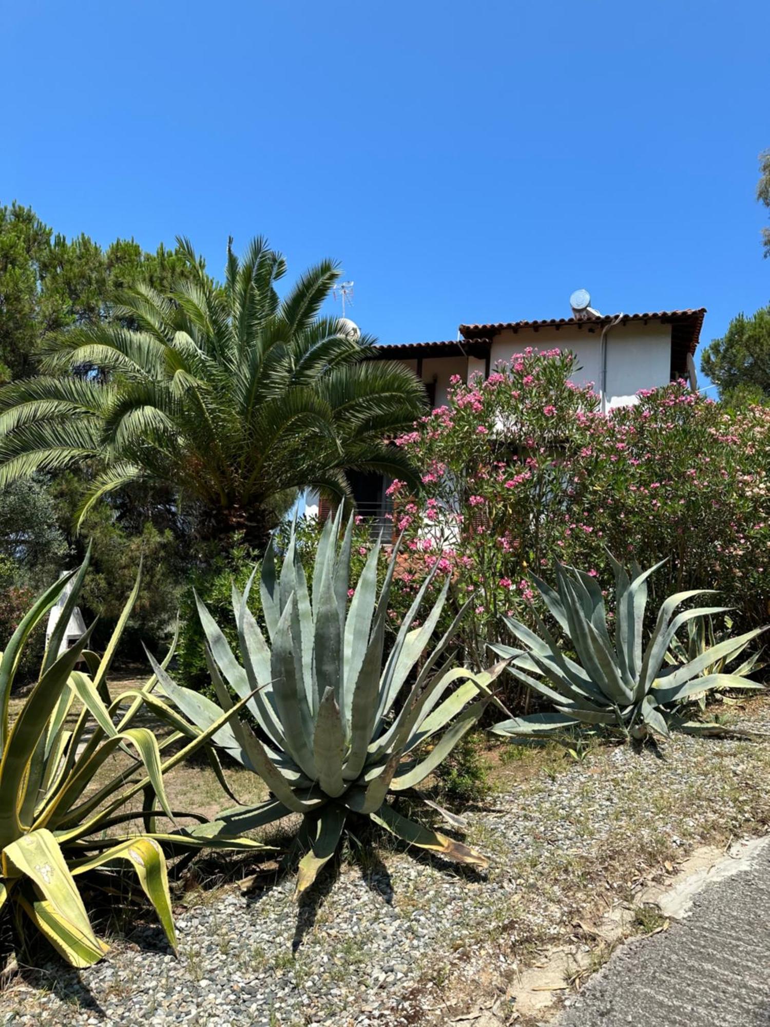 Villa Rena Vourvourou Exterior foto