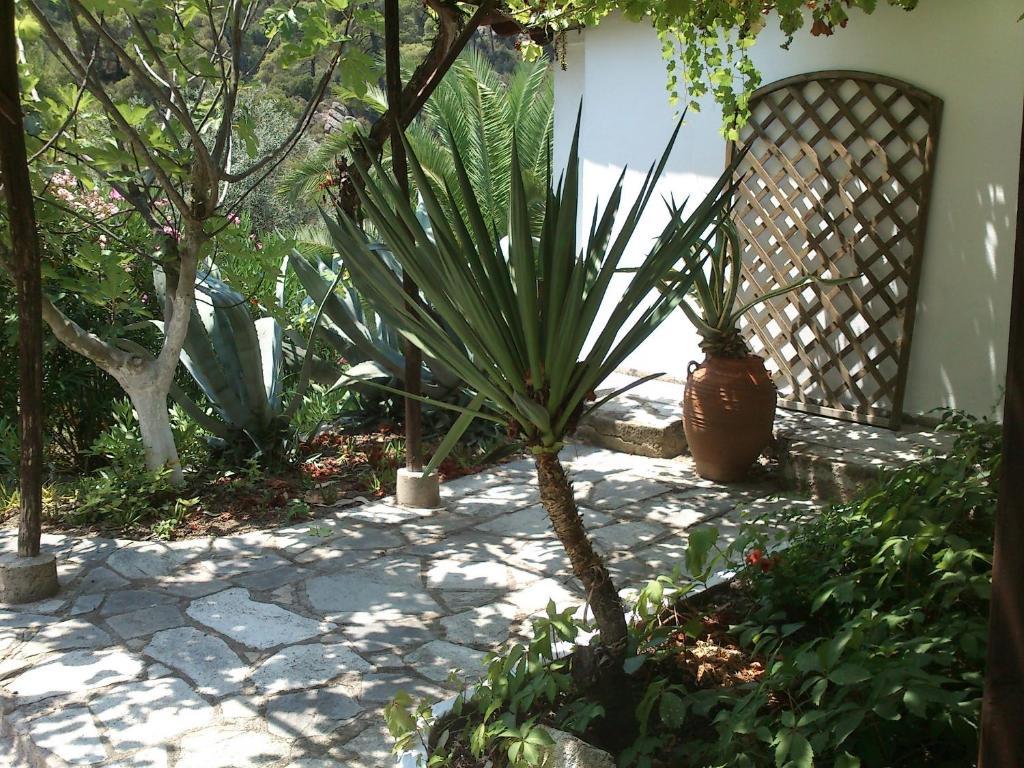 Villa Rena Vourvourou Habitación foto
